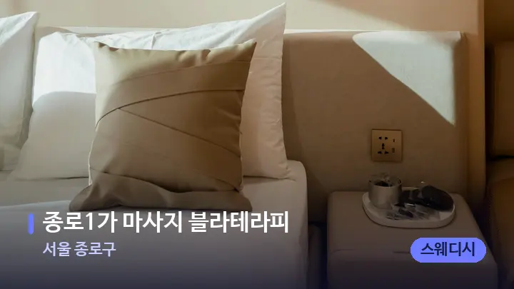 서울 종로구 종로1가 마사지 블라테라피 — 휴식 분위기의 스파 베드