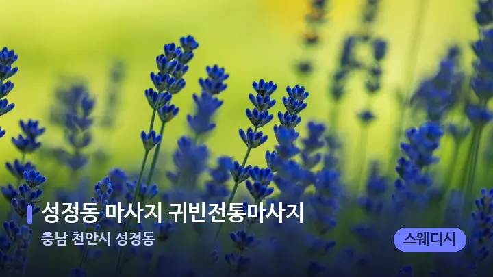 충남 천안시 성정동 성정동 마사지 귀빈전통마사지 — 아로마테라피 오일