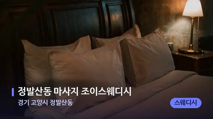 경기 고양시 정발산동 정발산동 마사지 조이스웨디시 — 휴식 분위기의 스파 베드