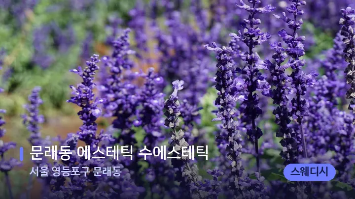 서울 영등포구 문래동 문래동 에스테틱 수에스테틱 — 아로마테라피 오일