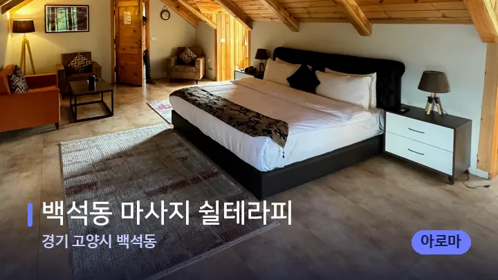 경기 고양시 백석동 백석동 마사지 쉴테라피 — 휴식 분위기의 스파 베드