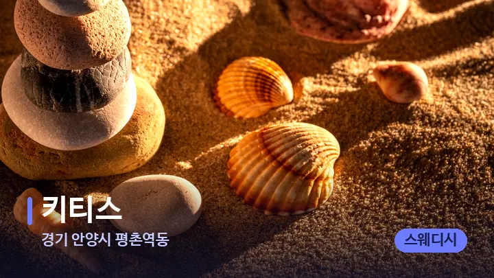 경기 안양시 평촌역동 키티스 — 마사지용 스톤
