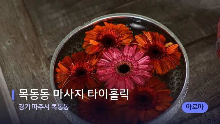 경기 파주시 목동동 목동동 마사지 타이홀릭 — 스파 프런트 공간