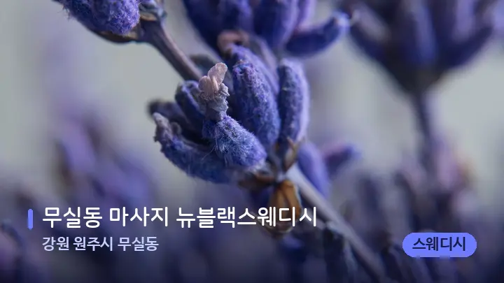 강원 원주시 무실동 무실동 마사지 뉴블랙스웨디시 — 아로마테라피 오일
