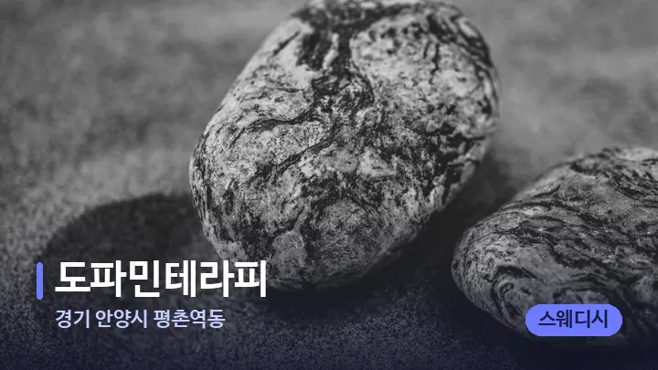 경기 안양시 평촌역동 도파민테라피 — 마사지용 스톤