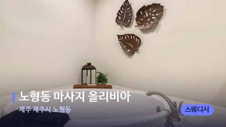 제주 제주시 노형동 노형동 마사지 올리비아 — 웰니스 스파 공간