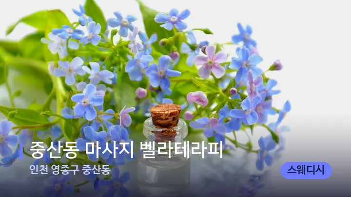 인천 영종구 중산동 중산동 마사지 벨라테라피 — 아로마테라피 오일