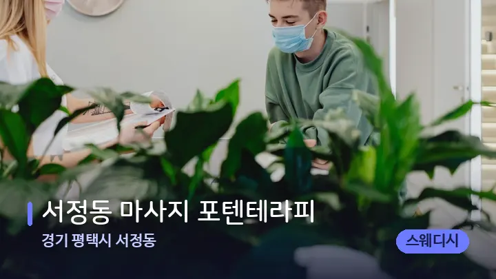 경기 평택시 서정동 서정동 마사지 포텐테라피 — 스파 프런트 공간