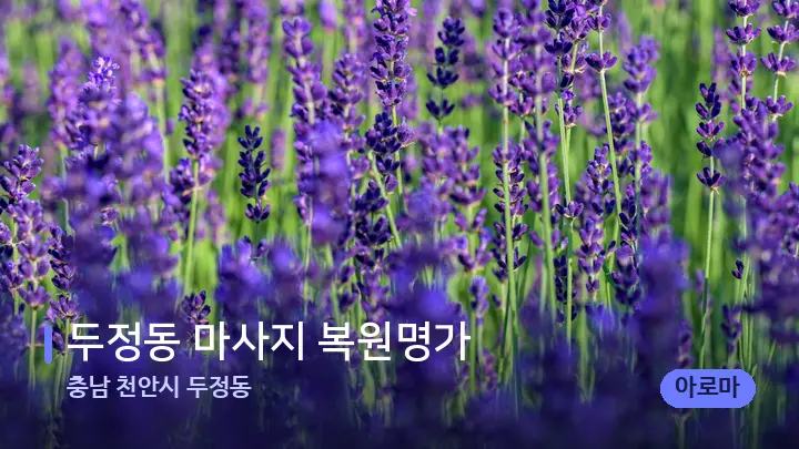 충남 천안시 두정동 두정동 마사지 복원명가 — 아로마테라피 오일