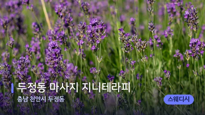 충남 천안시 두정동 두정동 마사지 지니테라피 — 아로마테라피 오일