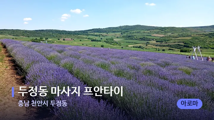 충남 천안시 두정동 두정동 마사지 프안타이 — 아로마테라피 오일