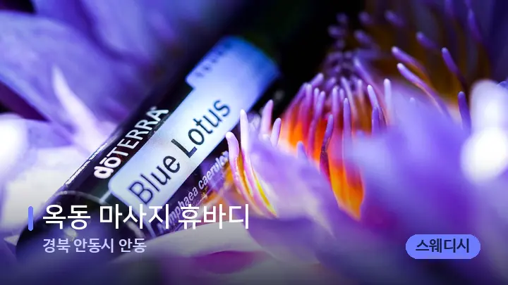 경북 안동시 안동 옥동 마사지 휴바디 — 아로마테라피 오일