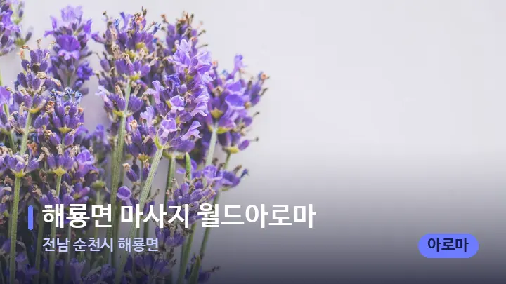 전남 순천시 해룡면 해룡면 마사지 월드아로마 — 아로마테라피 오일