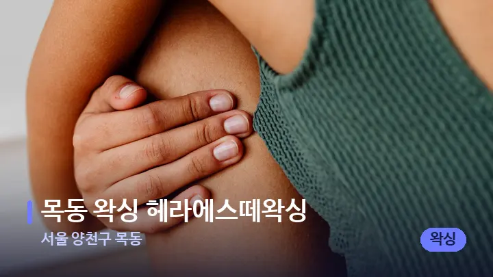 서울 양천구 목동 목동 왁싱 헤라에스떼왁싱 — 어깨를 다루는 관리사의 손