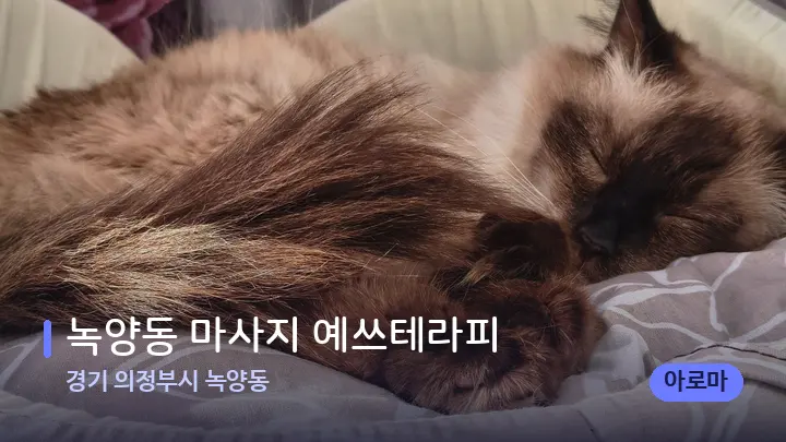 경기 의정부시 녹양동 녹양동 마사지 예쓰테라피 — 휴식 분위기의 스파 베드