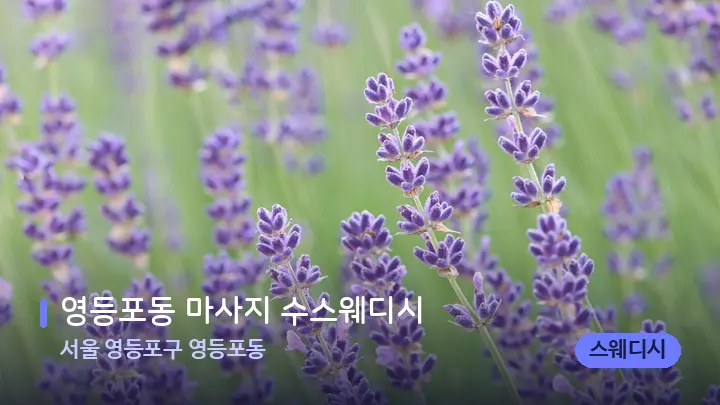 서울 영등포구 영등포동 영등포동 마사지 수스웨디시 — 아로마테라피 오일