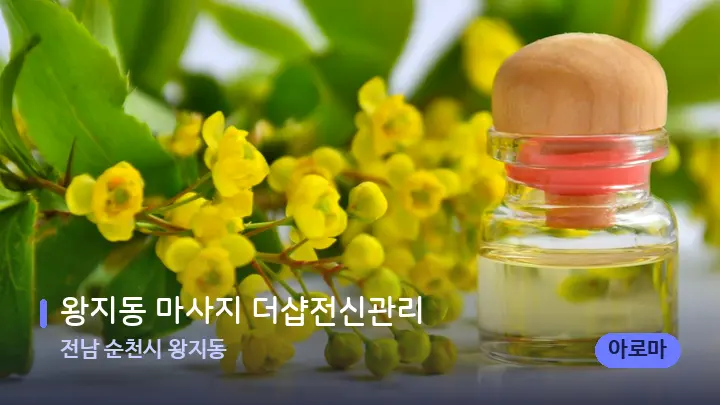전남 순천시 왕지동 왕지동 마사지 더샵전신관리 — 아로마테라피 오일