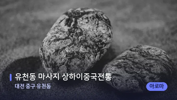대전 중구 유천동 유천동 마사지 상하이중국전통 — 마사지용 스톤