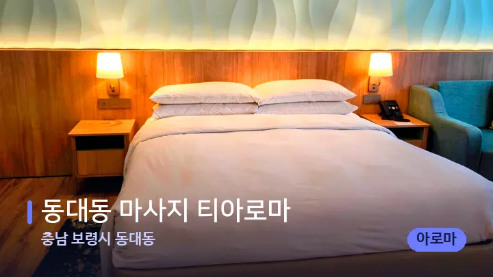 충남 보령시 동대동 동대동 마사지 티아로마 — 휴식 분위기의 스파 베드