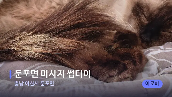 충남 아산시 둔포면 둔포면 마사지 썸타이 — 휴식 분위기의 스파 베드
