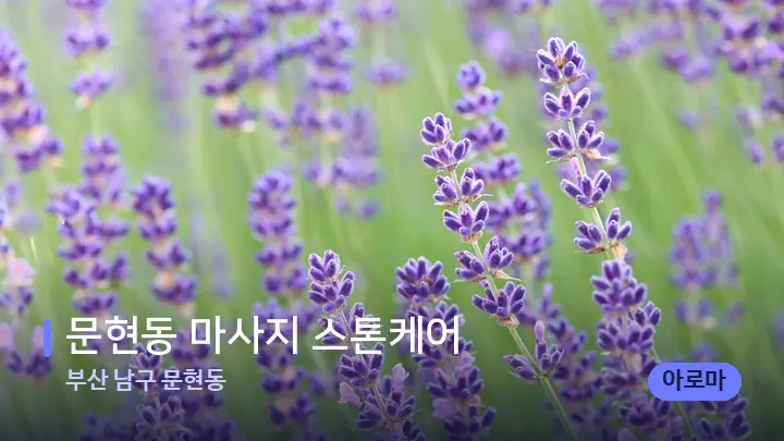 부산 남구 문현동 문현동 마사지 스톤케어 — 아로마테라피 오일