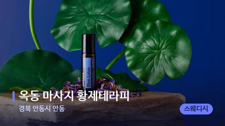 경북 안동시 안동 옥동 마사지 황제테라피 — 아로마테라피 오일
