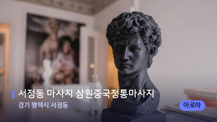 경기 평택시 서정동 서정동 마사지 삼원중국정통마사지 — 스파 프런트 공간