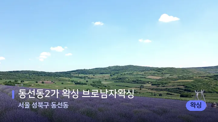 서울 성북구 동선동 동선동2가 왁싱 브로남자왁싱 — 아로마테라피 오일