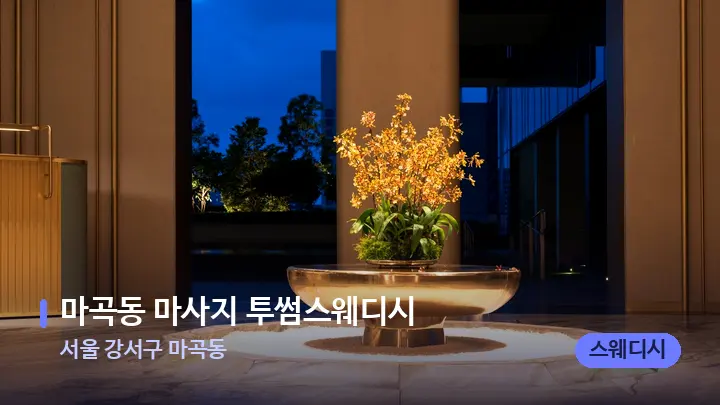 서울 강서구 마곡동 마곡동 마사지 투썸스웨디시 — 스파 프런트 공간