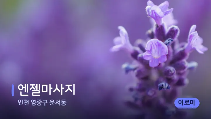 인천 영종구 운서동 엔젤마사지 — 아로마테라피 오일