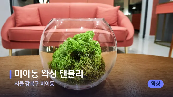 서울 강북구 미아동 미아동 왁싱 탠블리 — 스파 프런트 공간
