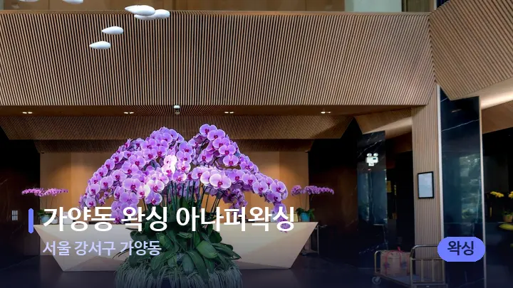 서울 강서구 가양동 가양동 왁싱 아나퍼왁싱 — 스파 프런트 공간