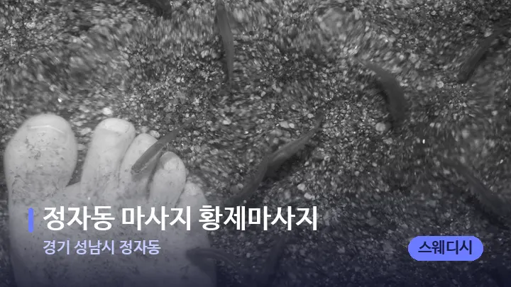 경기 성남시 정자동 정자동 마사지 황제마사지 — 발 관리 장면