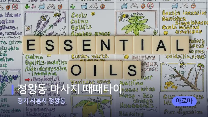 경기 시흥시 정왕동 정왕동 마사지 때때타이 — 아로마테라피 오일