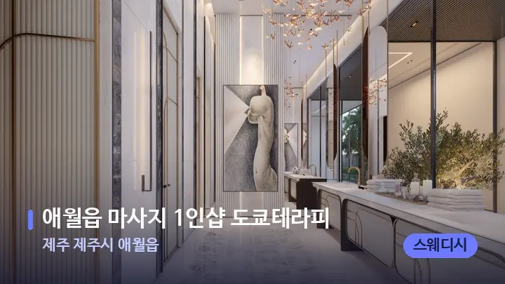 제주 제주시 애월읍 애월읍 마사지 1인샵 도쿄테라피 — 웰니스 스파 공간