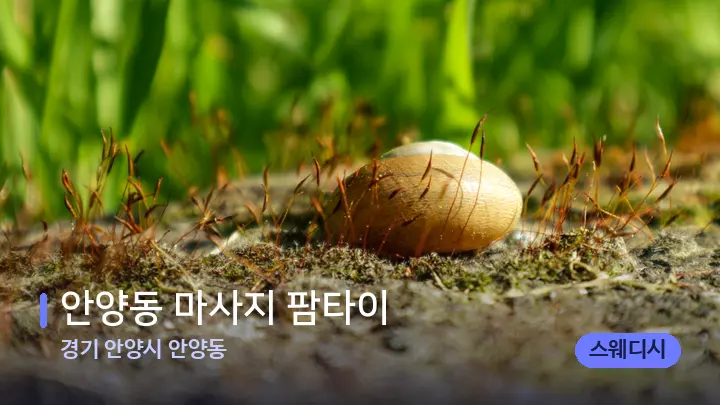 경기 안양시 안양동 안양동 마사지 팜타이 — 마사지용 스톤