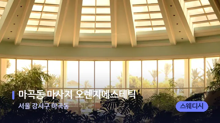 서울 강서구 마곡동 마곡동 마사지 오렌지에스테틱 — 스파 프런트 공간