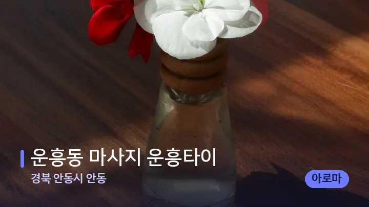 경북 안동시 안동 운흥동 마사지 운흥타이 — 아로마테라피 오일