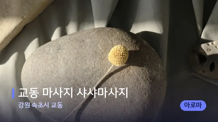 강원 속초시 교동 교동 마사지 샤샤마사지 — 마사지용 스톤