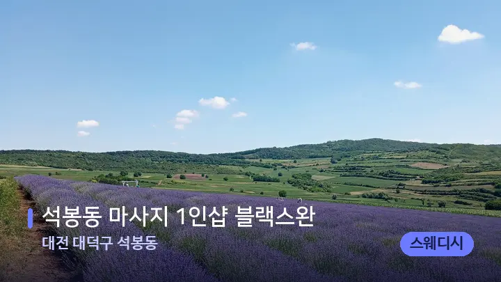 대전 대덕구 석봉동 석봉동 마사지 1인샵 블랙스완 — 아로마테라피 오일
