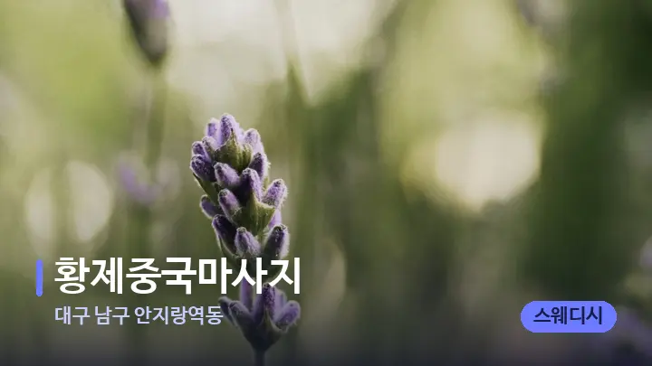 대구 남구 안지랑역동 황제중국마사지 — 아로마테라피 오일