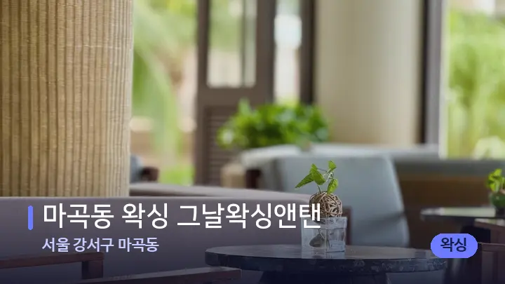 서울 강서구 마곡동 마곡동 왁싱 그날왁싱앤탠 — 스파 프런트 공간