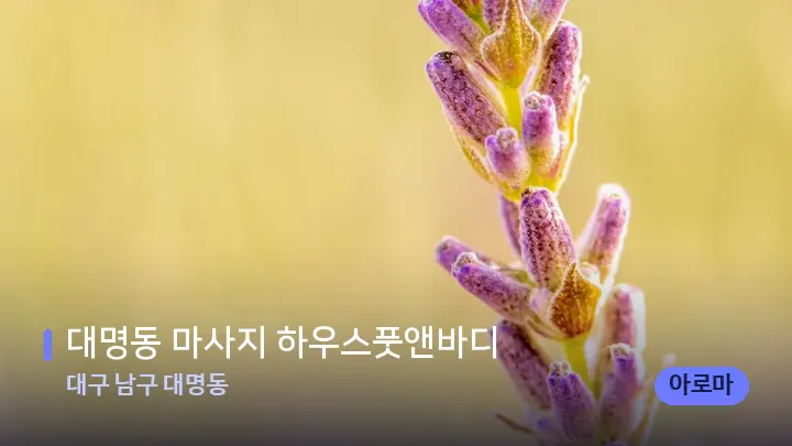 대구 남구 대명동 대명동 마사지 하우스풋앤바디 — 아로마테라피 오일