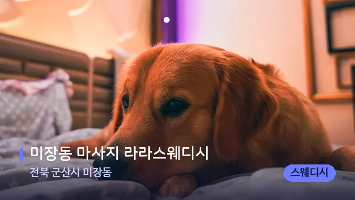 전북 군산시 미장동 미장동 마사지 라라스웨디시 — 휴식 분위기의 스파 베드