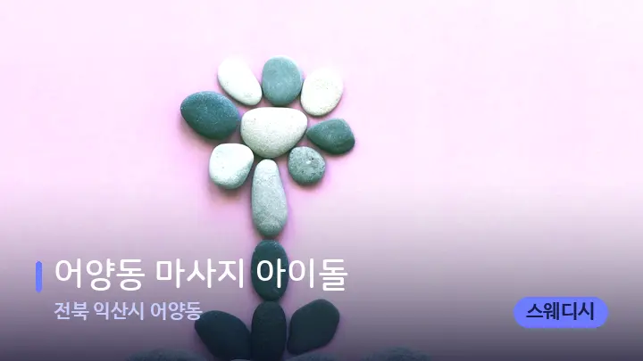 전북 익산시 어양동 어양동 마사지 아이돌 — 마사지용 스톤