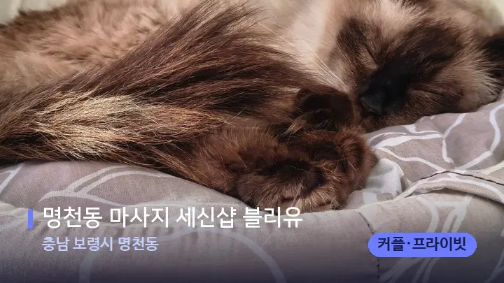 충남 보령시 명천동 명천동 마사지 세신샵 블리유 — 휴식 분위기의 스파 베드