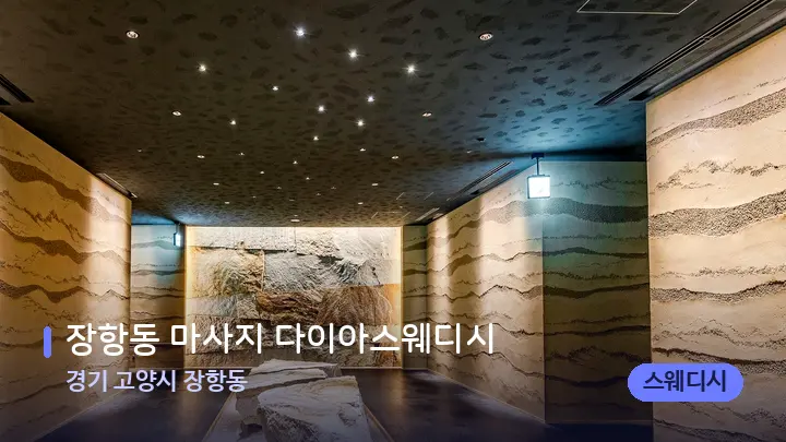 경기 고양시 장항동 장항동 마사지 다이아스웨디시 — 스파 프런트 공간