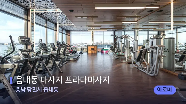 충남 당진시 읍내동 읍내동 마사지 프라다마사지 — 웰니스 스파 공간