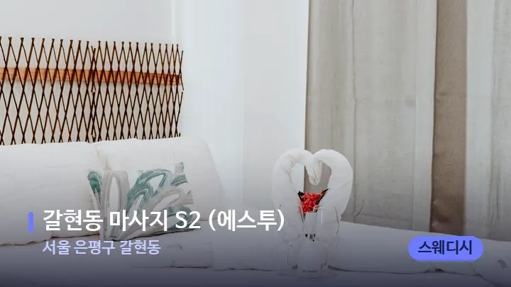 서울 은평구 갈현동 갈현동 마사지 S2 (에스투) — 휴식 분위기의 스파 베드