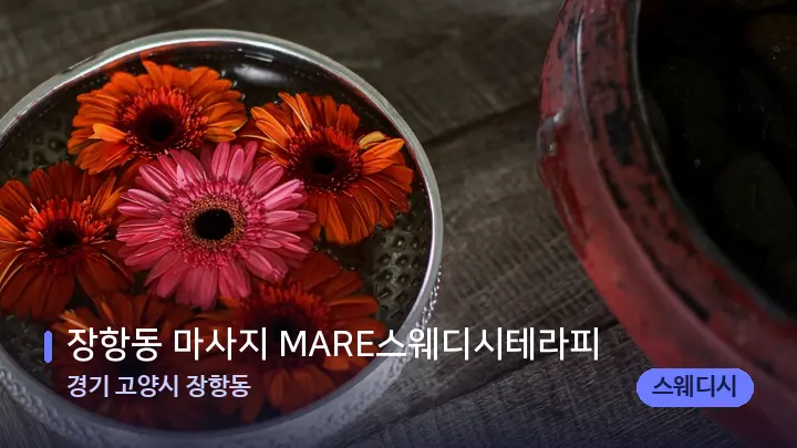 경기 고양시 장항동 장항동 마사지 MARE스웨디시테라피 — 스파 프런트 공간